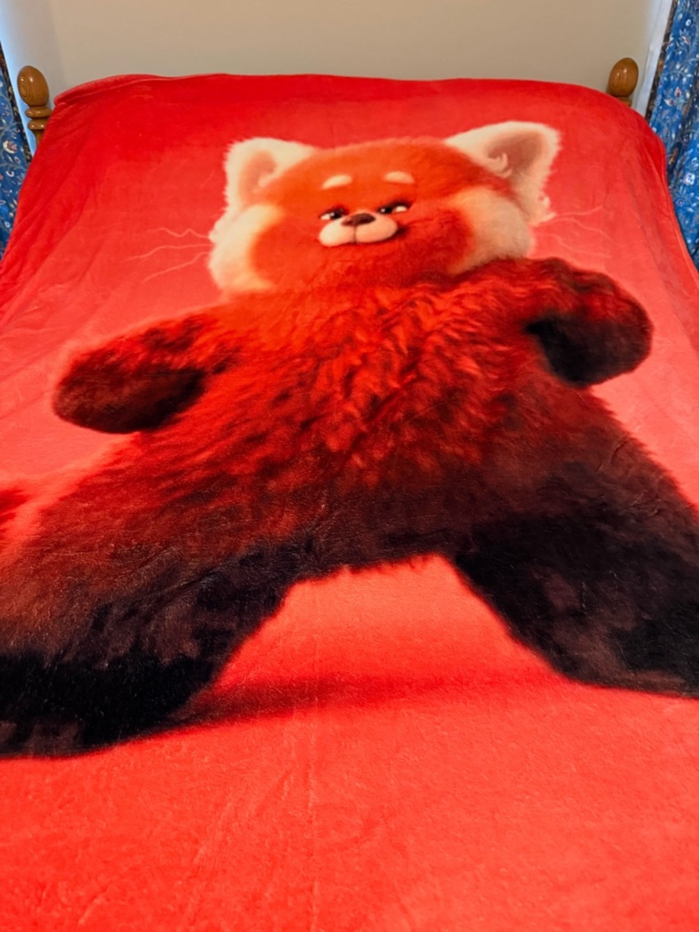 Red Panda Plush Graphic Throw Blanket